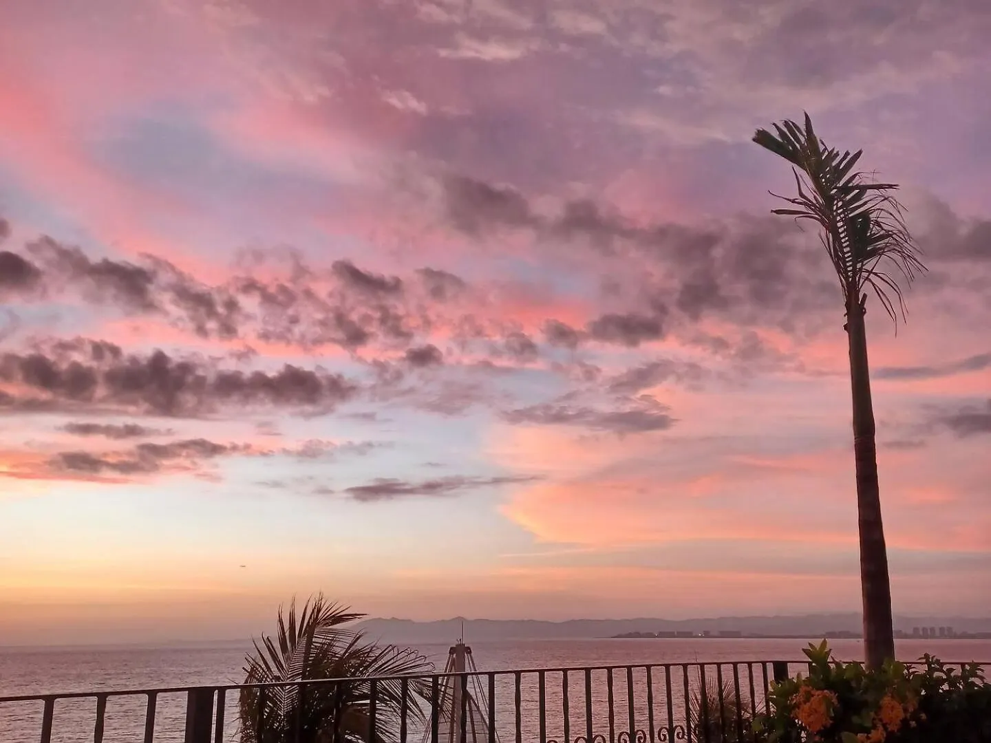 Los Muertos Escape Puerto Vallarta Apartment